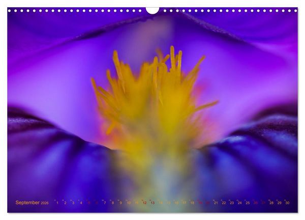 Produktbild: DEEP INSIDE - Bl&uuml;tenmakros (Wandkalender 2026 DIN A3 quer), CALVENDO Monatskalender