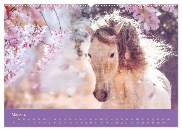 Produktbild: Von der Magie der Pferde (Wandkalender 2026 DIN A2 quer), CALVENDO Monatskalender