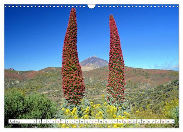 Produktbild: Teneriffa - Insel der Gl&uuml;ckseligen (Wandkalender 2026 DIN A3 quer), CALVENDO Monatskalender
