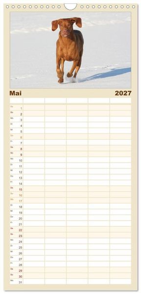 Produktbild: Familienplaner 2027 - Magyar Vizsla - Vielseitiger Jagdhund mit 5 Spalten (Wandkalender, 21 x 45 cm) CALVENDO