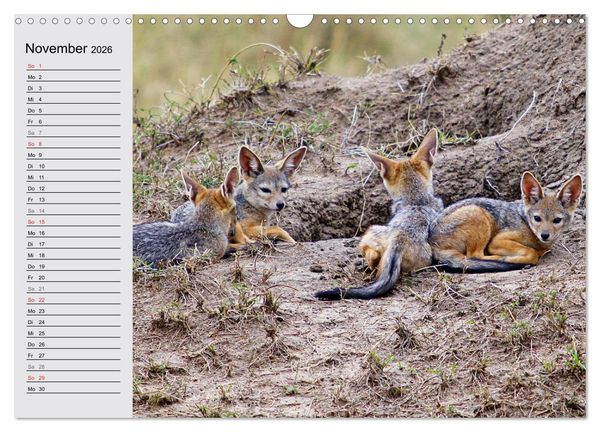 Produktbild: Afrikas wildes Kinderzimmer (Wandkalender 2026 DIN A3 quer), CALVENDO Monatskalender