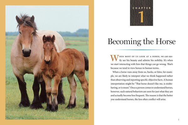 Produktbild: How to Think Like a Horse
