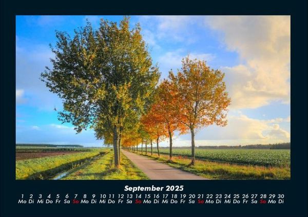Produktbild: B&auml;ume 2025 Fotokalender DIN A4