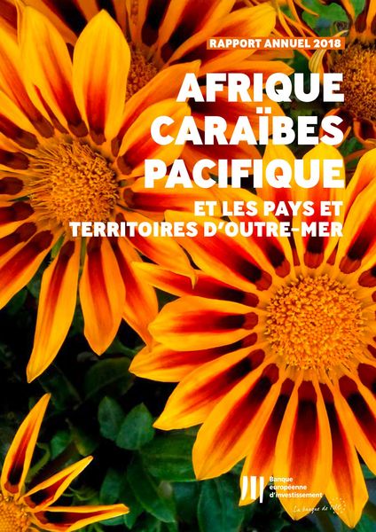 Produktbild: Activit&eacute; de la BEI en Afrique, Cara&iuml;bes, Pacifique et dans les pays et territoires d'outre-mer