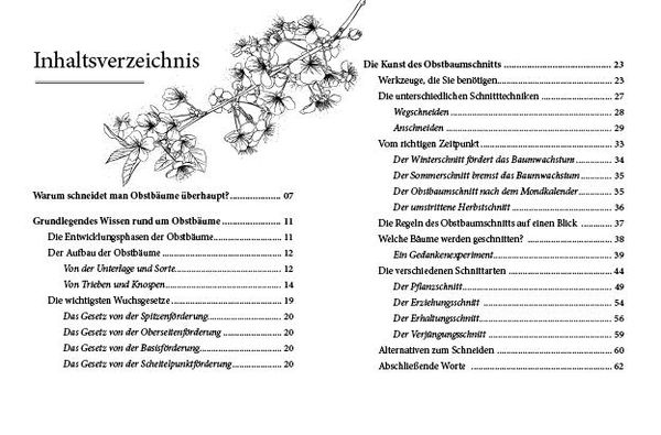 Produktbild: Das große kleine Buch: Obstbaumschnitt