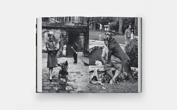 Produktbild: Hunde lieben