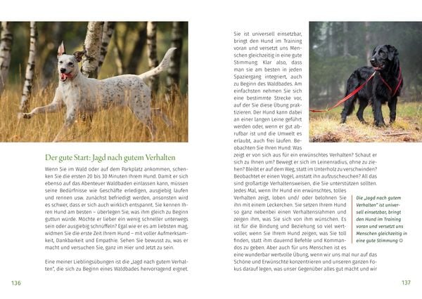 Produktbild: Waldsamkeit