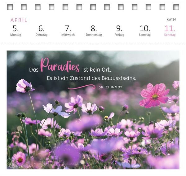 Produktbild: Postkartenkalender 365 Tage Gelassenheit 2027