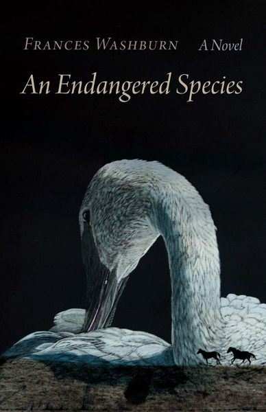 Produktbild: An Endangered Species