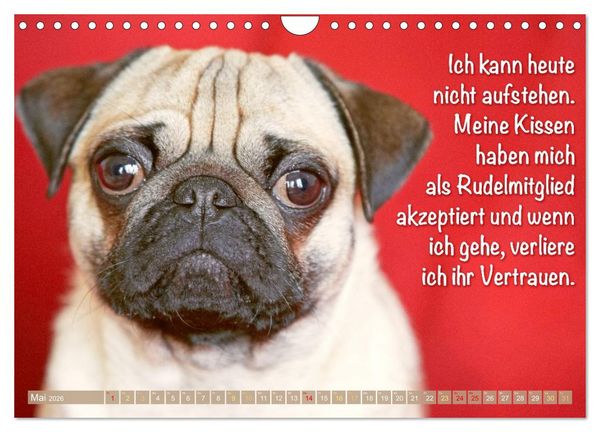 Produktbild: Mopsala: Vom Gl&uuml;ck, ein Mops zu sein (Wandkalender 2026 DIN A4 quer), CALVENDO Monatskalender