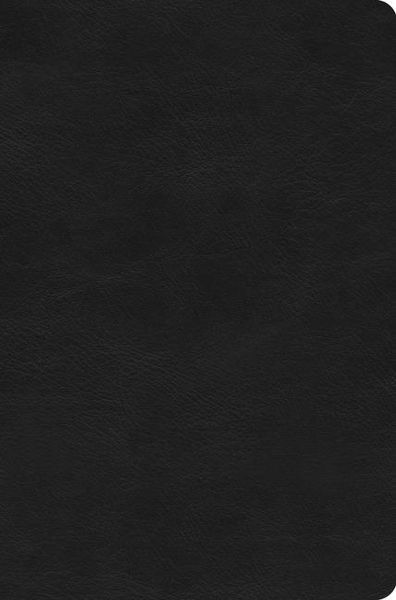 Produktbild: ESV Value Compact Bible (Trutone, Black)