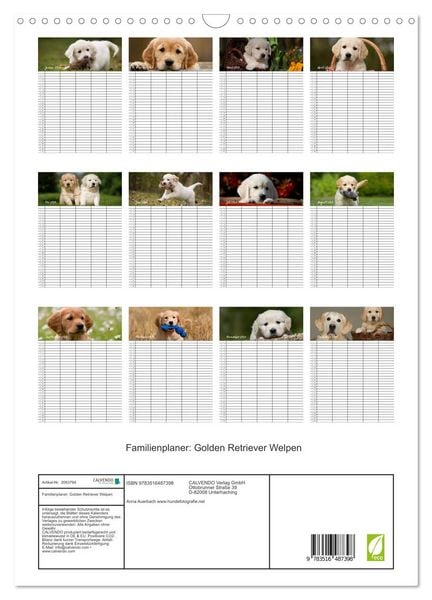 Produktbild: Familienplaner: Golden Retriever Welpen (Wandkalender 2026 DIN A3 hoch), CALVENDO Monatskalender