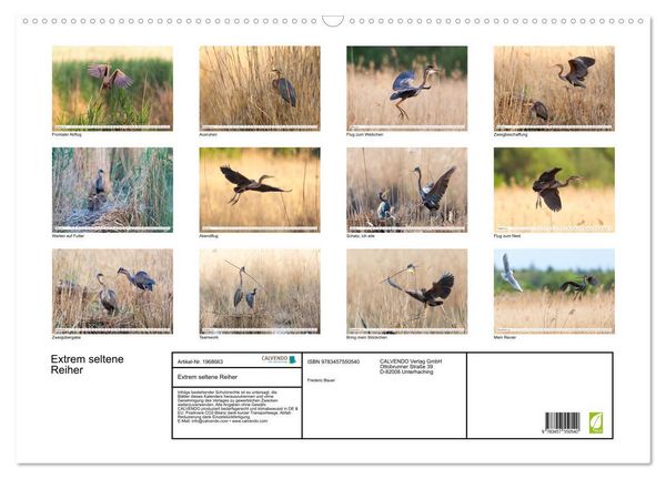 Produktbild: Extrem seltene Reiher (Wandkalender 2026 DIN A2 quer), CALVENDO Monatskalender