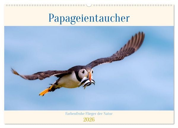 Produktbild: Papageientaucher - Farbenfrohe Flieger der Natur (Wandkalender 2026 DIN A2 quer), CALVENDO Monatskalender