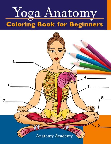 Produktbild: Yoga Anatomy Coloring Book for Beginners