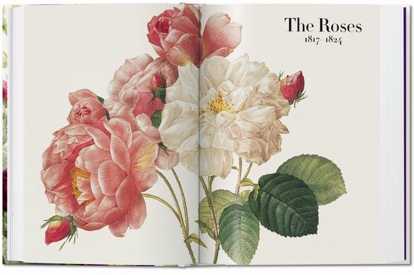 Pierre-Joseph Redouté. The Book of Flowers