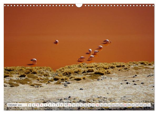 Produktbild: Bolivien - Unterwegs im Hochland (Wandkalender 2026 DIN A3 quer), CALVENDO Monatskalender