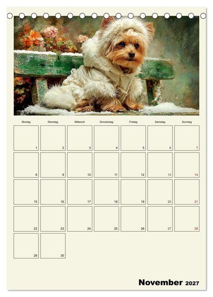 Produktbild: Schnuten im Herbstlicht. Kleine Hunde in stillen Momenten (Tischkalender 2027 DIN A5 hoch), CALVENDO Monatskalender