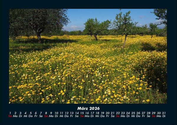 Produktbild: Blumenkalender 2026 Fotokalender DIN A4