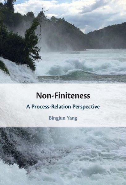 Produktbild: Non-Finiteness