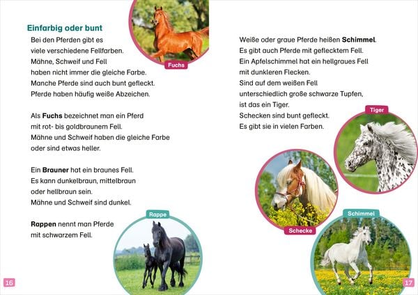Produktbild: WAS IST WAS Erstes Lesen. Pferde und Ponys
