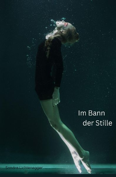 Produktbild: Im Bann der Stille