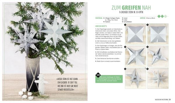 Produktbild: Weihnachtssterne? Gerne!
