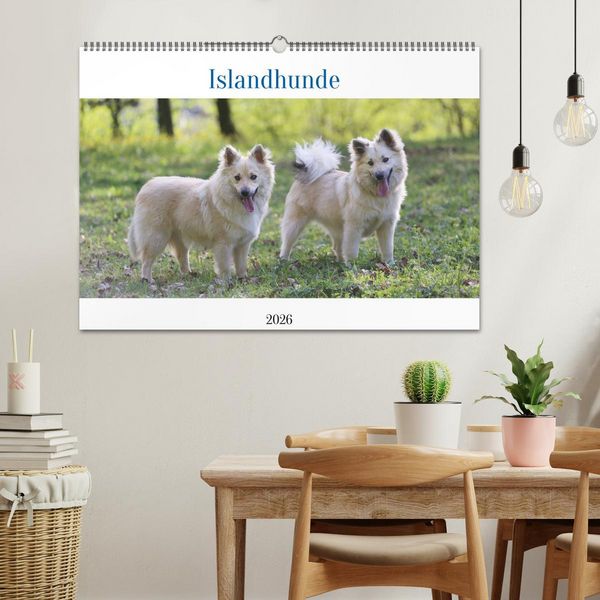 Produktbild: Islandhunde (Wandkalender 2026 DIN A2 quer), CALVENDO Monatskalender
