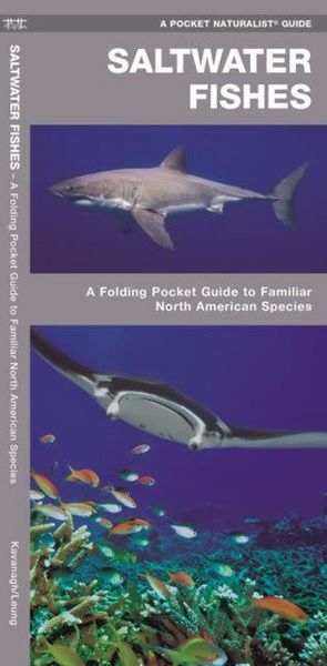 Produktbild: Saltwater Fishes