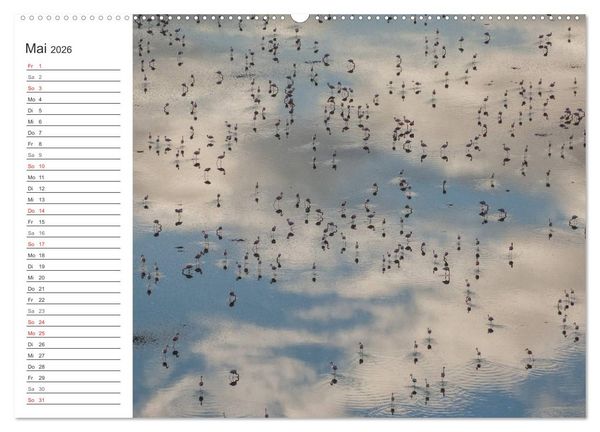 Produktbild: Emotionale Momente: Mein wildes Afrika (Wandkalender 2026 DIN A2 quer), CALVENDO Monatskalender