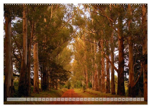 Produktbild: Argentinien Christian Heeb (Wandkalender 2026 DIN A2 quer), CALVENDO Monatskalender