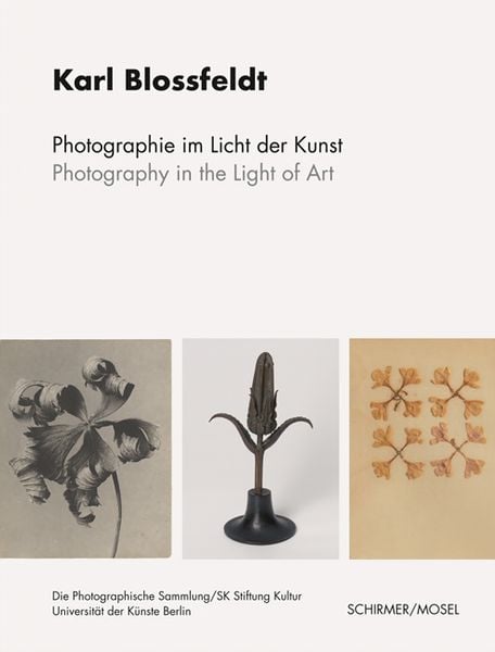 Produktbild: Photographie im Licht der Kunst / Photography in the Light of Art