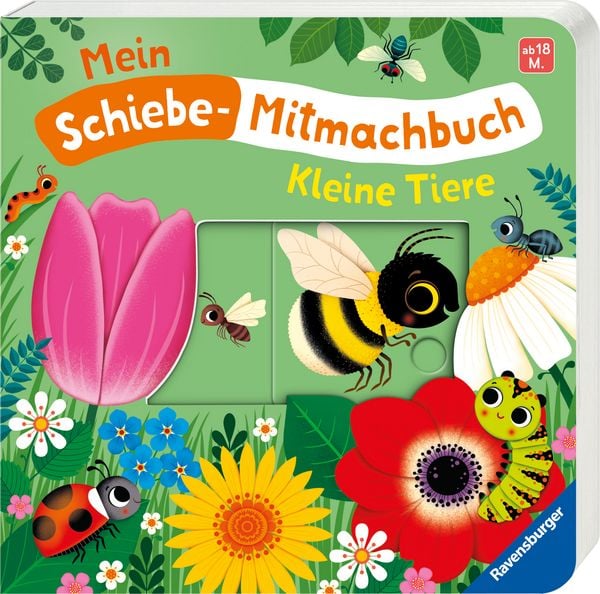 Produktbild: Mein Schiebe-Mitmachbuch - Kleine Tiere