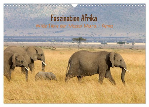 Produktbild: Faszination Afrika - wilde Tiere der Masai Mara - Kenia (Wandkalender 2026 DIN A3 quer), CALVENDO Monatskalender