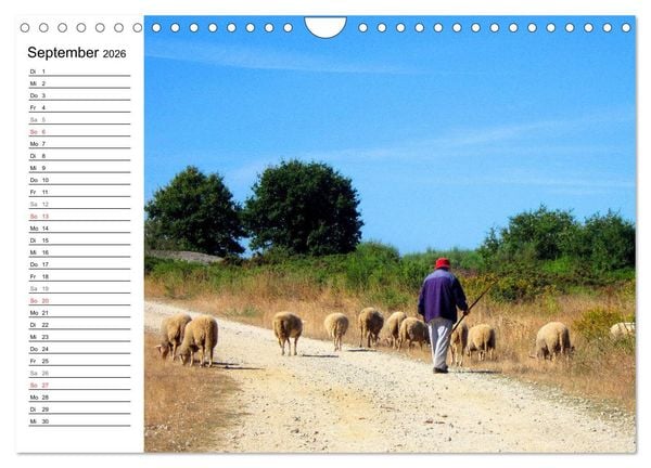 Produktbild: Jakobsweg - Camino Primitivo (Wandkalender 2026 DIN A4 quer), CALVENDO Monatskalender