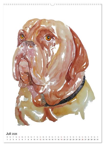 Produktbild: Hunde Portr&auml;ts in Aquarell (hochwertiger Premium Wandkalender 2026 DIN A2 hoch), Kunstdruck in Hochglanz