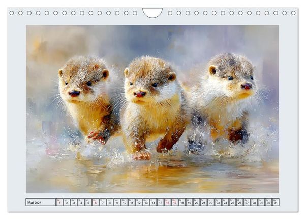 Produktbild: Otter. Verspielte Abenteurer am Wasser (Wandkalender 2027 DIN A4 quer), CALVENDO Monatskalender