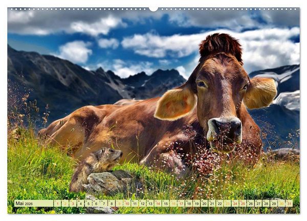 Produktbild: Lustig und verr&uuml;ckt - der ganz andere Tierkalender (Wandkalender 2026 DIN A2 quer), CALVENDO Monatskalender