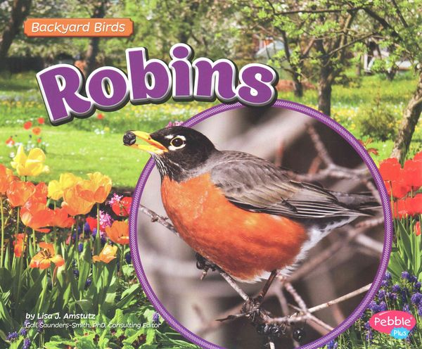Produktbild: Robins
