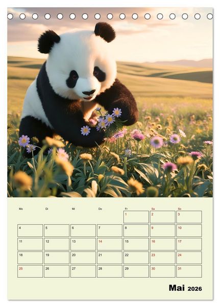 Produktbild: Ein pandastarkes Jahr - Flauschige Pandab&auml;ren zum Verlieben (Tischkalender 2026 DIN A5 hoch), CALVENDO Monatskalender