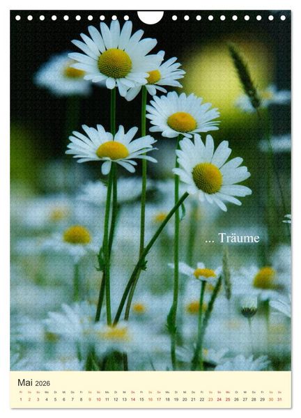 Produktbild: flowers (Wandkalender 2026 DIN A4 hoch), CALVENDO Monatskalender