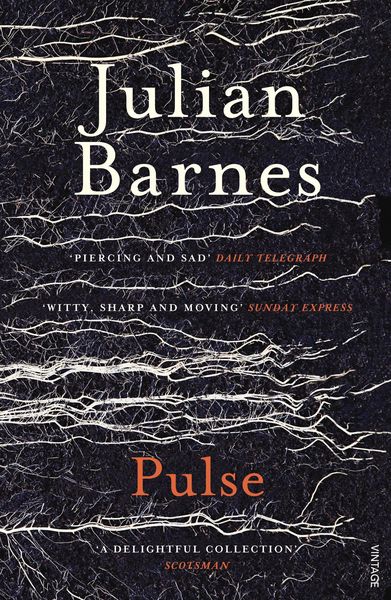 Produktbild: Barnes, J: Pulse