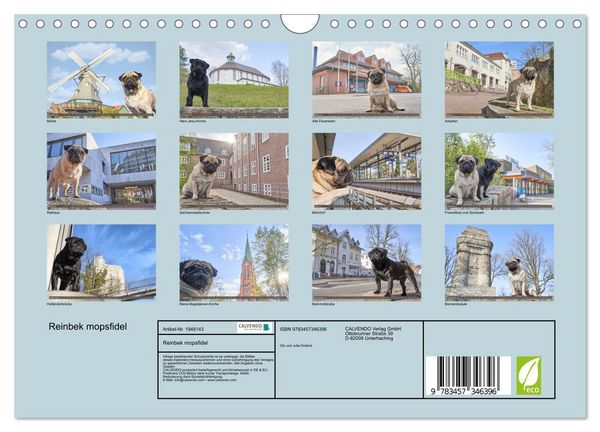 Produktbild: Reinbek mopsfidel (Wandkalender 2026 DIN A4 quer), CALVENDO Monatskalender
