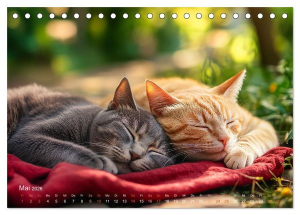 Produktbild: Katzenkunstwerke (Tischkalender 2026 DIN A5 quer), CALVENDO Monatskalender