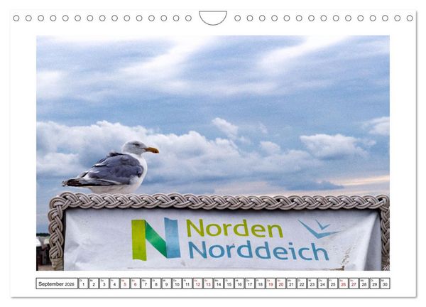 Produktbild: Verliebt in Norddeich (Wandkalender 2026 DIN A4 quer), CALVENDO Monatskalender