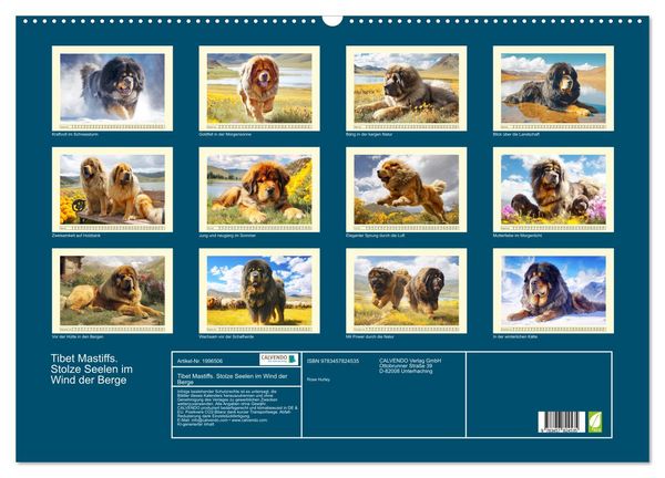 Produktbild: Tibet Mastiffs. Stolze Seelen im Wind der Berge (Wandkalender 2026 DIN A2 quer), CALVENDO Monatskalender