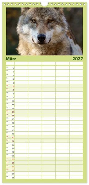 Produktbild: Familienplaner 2027 - W&ouml;lfe. Verwegene Anmut mit 5 Spalten (Wandkalender, 21 x 45 cm) CALVENDO