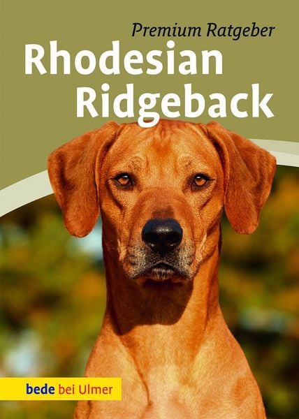 Produktbild: Rhodesian Ridgeback