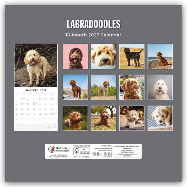 Produktbild: Labradoodles &ndash; Labradoodle 2027 &ndash; 16-Monatskalender