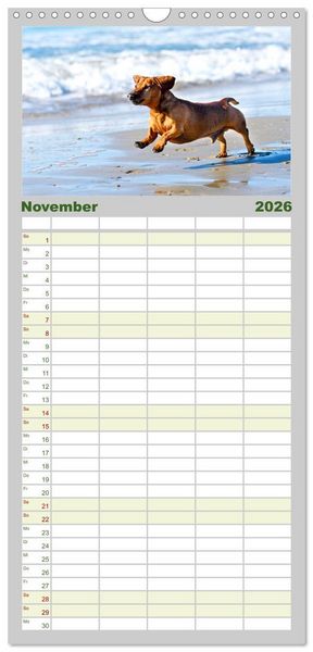 Produktbild: Familienplaner 2026 - Dackelblicke - Lassen Herzen erw&auml;rmen. mit 5 Spalten (Wandkalender, 21 x 45 cm) CALVENDO
